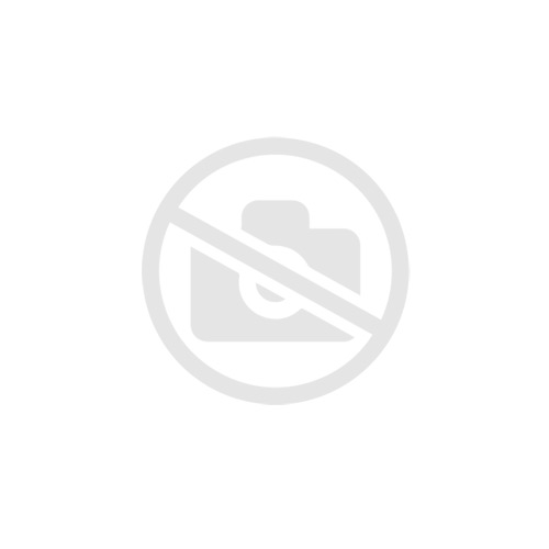 Контроллер EVD EVOLUTION PER VALVOLE CAREL (RS485/MODBUS)