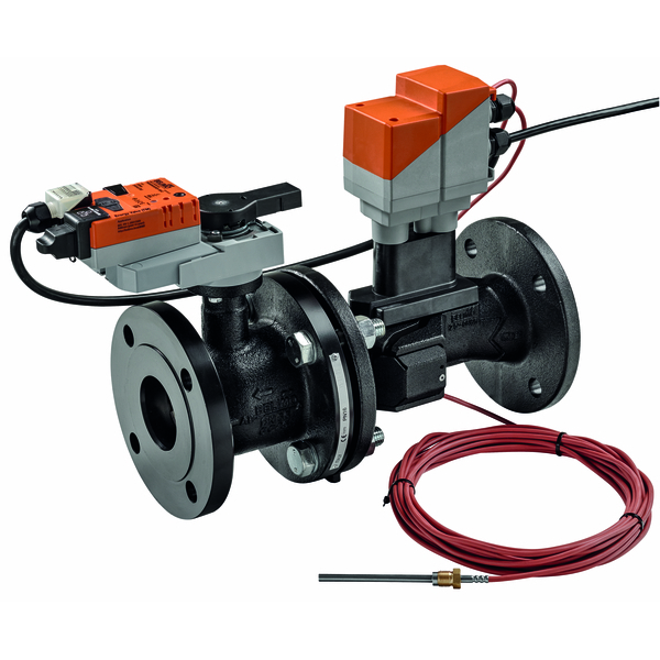 Двухходовой электронный клапан Belimo Energy Valve Belimo EV065F+BAC