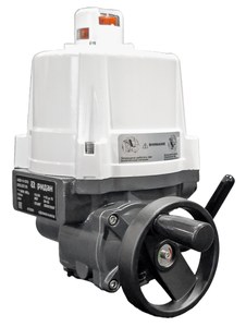 Поворотный электропривод Ридан AMB-H-010, 220 В AC, 100 Н·м, IP67 (065L8181R)