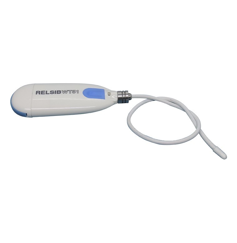 Bluetooth-термометр Рэлсиб WT51-1-0,2, температура -40 …+125 °C, интерфейс Bluetooth 4 (R31722100000000-N)